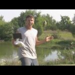 これは画期的な！ドローンフィッシング 魚もドローンに釣られるとは！