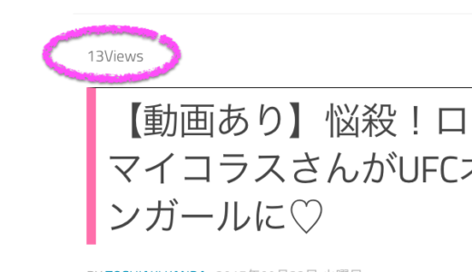 [wp]月間、週間、24時間などの人気記事を表示させるWordpress Popular Posts