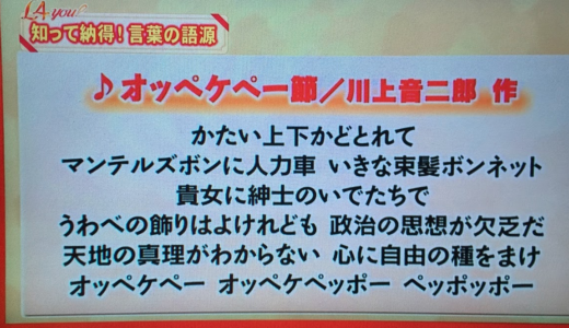 『演歌』って『演説歌』という政治批判の歌だったとは！