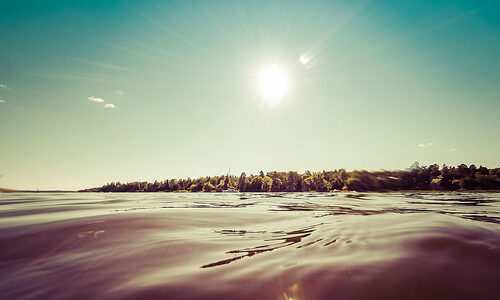 KNNミッションステートメント