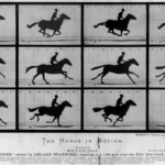 リーランド・スタンフォードの馬の賭け話しから、映画産業が生まれた