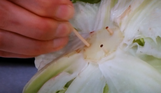 【プロ技】つまようじ3本でレタスを長持ちさせる方法