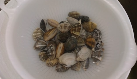 あさりの砂抜きたったの5分！熱めの50度お湯さらし