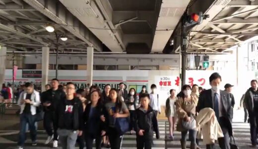 中目黒の桜をyoutubeで眺めながらの快適花見