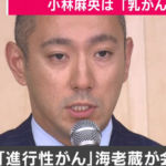 小林麻央さんの病名は乳がん.市川海老蔵さん発表