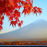 Yahoo！月間MVAに選出されました！2016年6月度【Yahoo!ニュース 個人】6月の月間MVAとMVCが決定(Yahoo!ニュース個人編集部) – 個人 – Yahoo!ニュース