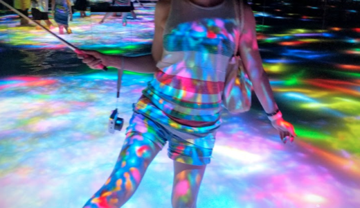 DMM.プラネッツ Art by TeamLab 巨大なインスタレーションでアバター気分に浸る！