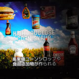 今まで、コーンシロップ、抗生剤、人口保存料を食べさせていたのか？米マクドナルドが原料見直し、ナゲットも人工保存料の使用中止 　