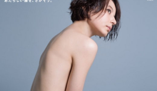 ベッキーの裸一貫 宝島社の広告「あたらしい服を、さがそう。」日経の媒体費用だけでも4,000万！