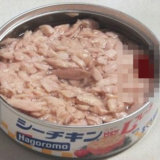はごろもGチキン？はごろもフーズ<2831> シーチキンLフレークツナ缶にゴキブリ?混入