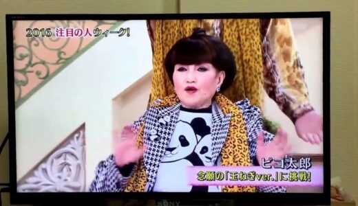 徹子の部屋黒柳徹子さんのPPAP アイアムオニオン
