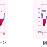 歯磨きは食事のあと、30分以上経過してから。酸性の時に磨いてはいけない