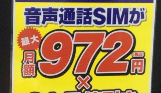 【格安SIM】FREETEL SIMを契約しにいったはずが、まさかのBIGLOBE SIMに…！