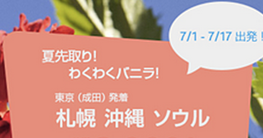 バニラエアのワクワクバニラ　片道なんと3,000円　札幌、沖縄、ソウル