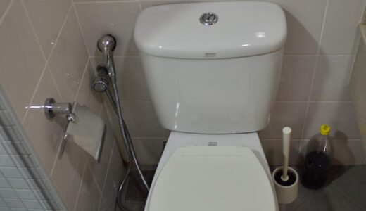 なぜ？インド人はトイレットペーパーを使わないのか？