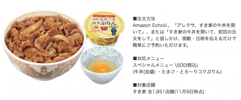 Amazon EchoDotからすき家の牛丼を一個オーダーしてみたら…