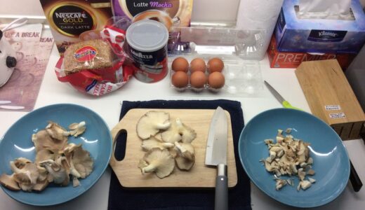 海外での激安和食づくり 干したGrey Oyster Mushroomのお出汁が旨い!