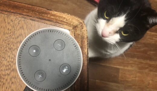 下のソーシャルリンクからフォロー