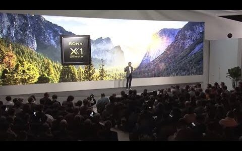 英語を頑張ろうと思う日本のCEOの英語力