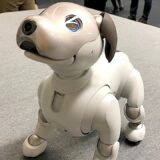 SONY aibo 2018年1月11日発売 12年ぶり