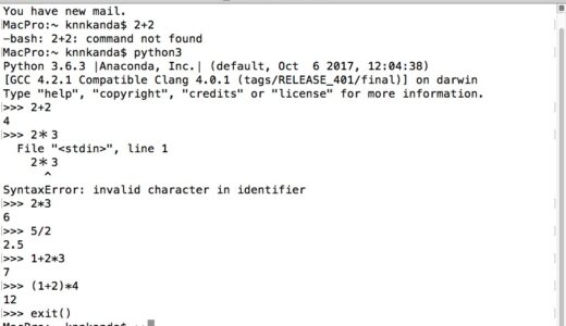 [Python]$python3  -m venv 仮想環境のセットアップ venv