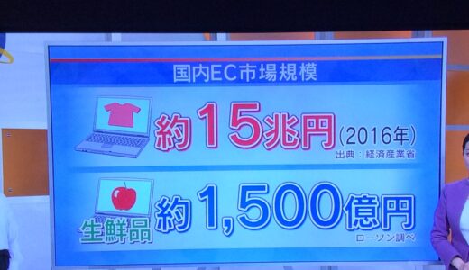 在宅しなくていいネット生鮮品オーダー、ローソンフレッシュピック #wbs