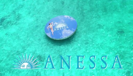 ANESSA  CMの森星（もり・ひかり）さんの祖母は森英恵 さん、姉は森泉さん