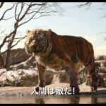 本日のネットフリックス『The Jungle Book』