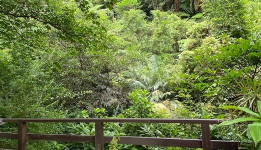 KNN ヤンバル名護のおすすめレストラン