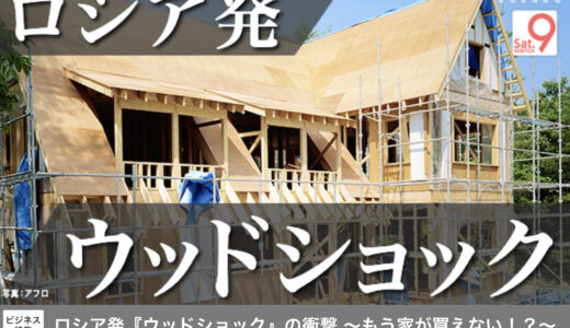 ロシア産鉱物資源によるインフレ懸念 パラジウム、ニッケル、ウッドショック