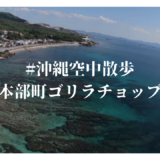 #沖縄空中散歩  本部町 ゴリラチョップ