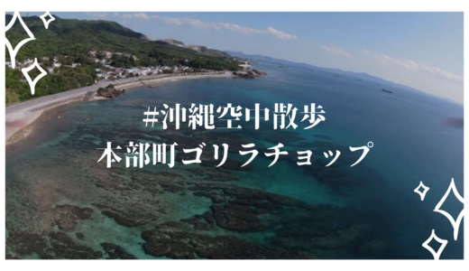 #沖縄空中散歩  本部町 ゴリラチョップ