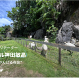 手数料が3.6%(通常8%)の『MOSH(モッシュ)』のサービスを使ってみた