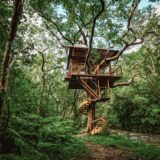 沖縄ヤンバル ツリーハウス Treeful Treehouse　1泊3名で12万円