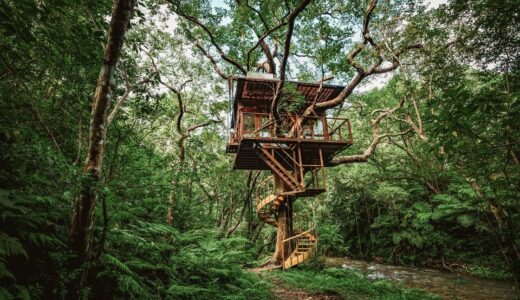 沖縄ヤンバル ツリーハウス Treeful Treehouse　1泊3名で12万円