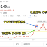 テスラのBTCの損切りタイミング Q2 2022より