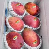 メルカリShopsヤンバル王国　マンゴー王国　完熟マンゴー　キーツマンゴーなど