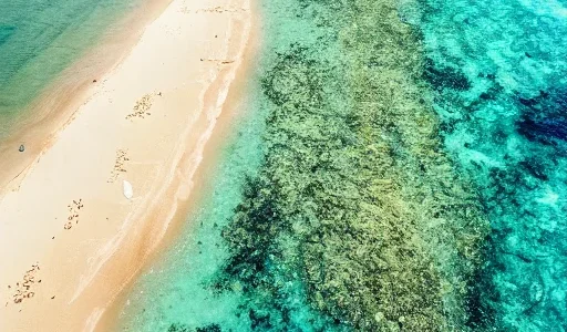 AIデジタルネイチャー ChatGPT　Stabel diffusion 2022 OpenSource シンギュラリティ