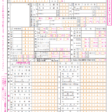 赤字法人のための法人 確定申告ガイド　　Mac　スマートフォン対応は微妙