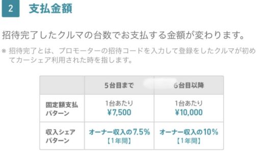 【沖縄レンタカーの新しい選択肢】Anycaでオーナーとして稼ぐ方法