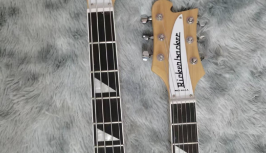 ダブルネックのリッケンバッカーAliExpress TEMU