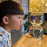 ベタのベタちゃん永眠しました…